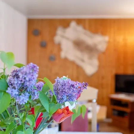 Πάρκο διακοπών Ferienbungalow 1 In Boitzenburg
